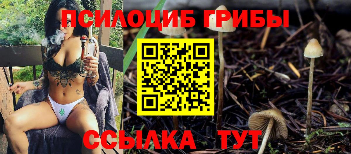 Галлюциногенные грибы Psilocybine cubensis  Псилоцибиновые грибы MAGIC MUSHROOMS  Вышний Волочёк  Вход с VPN 